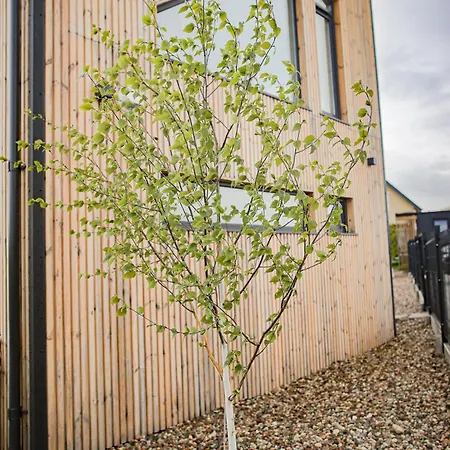 Morze Brzoza Jastrzębia Góra