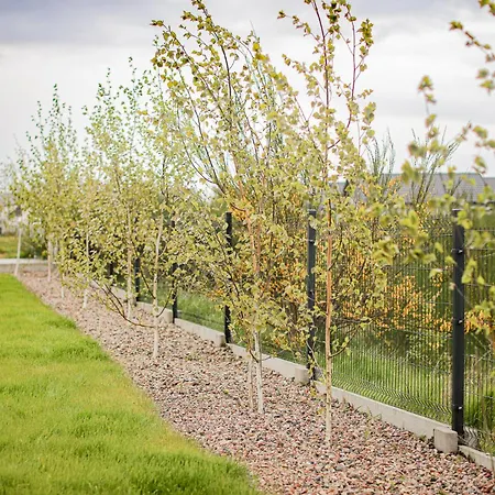 Morze Brzoza Jastrzębia Góra