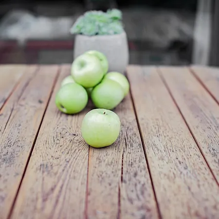 Morze Brzoza Tatil Evi Jastrzębia Góra