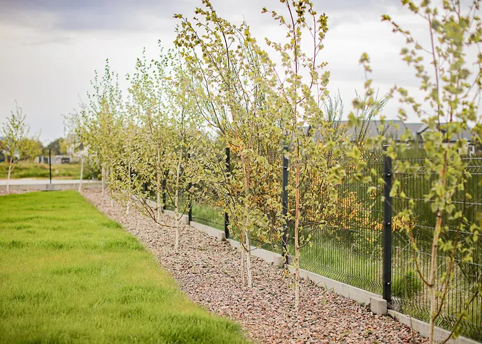 Morze Brzoza Jastrzębia Góra