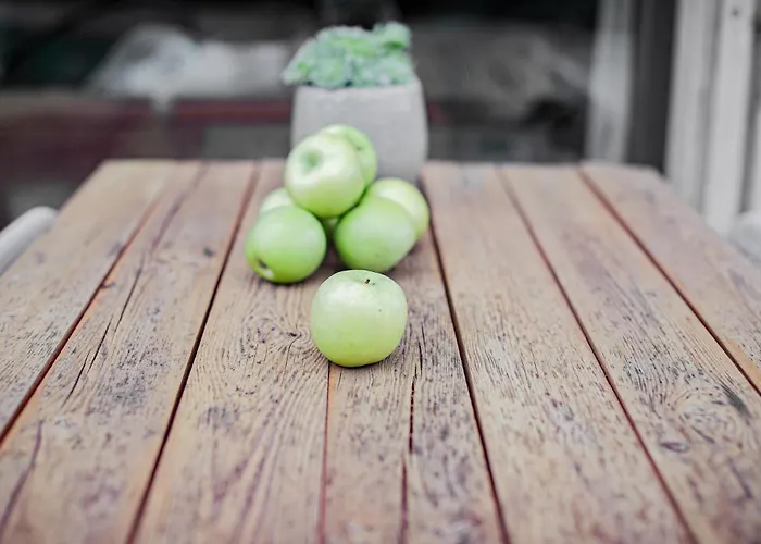 Morze Brzoza بيت للعطل Jastrzębia Góra